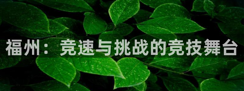 上海劲爆体育nba直播：福州：竞速与挑战的竞技舞台
