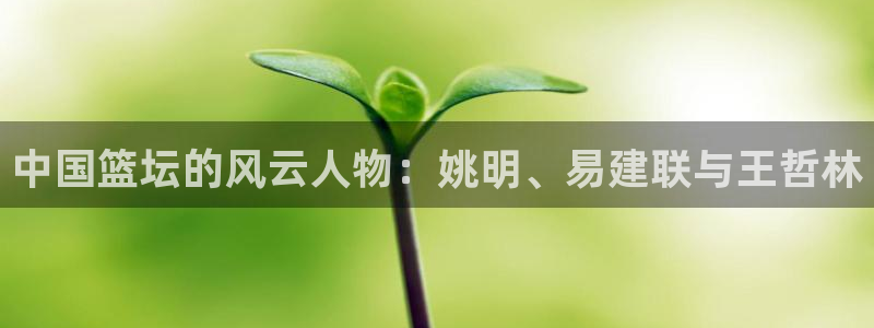 劲爆体育比赛直播：中国篮坛的风云人物：姚明、易建联与王哲林