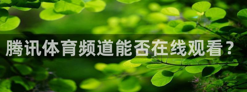 劲爆体育网络直播：腾讯体育频道能否在线观看？