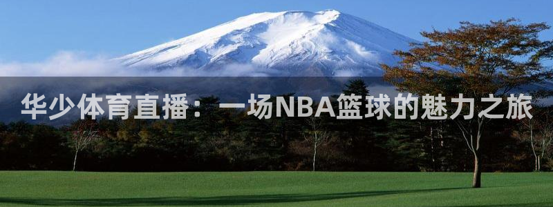 劲爆直播官网免费体育直播：华少体育直播：一场NBA篮球的魅力之旅