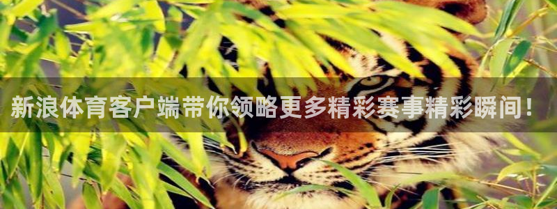劲爆体育频道直播：新浪体育客户端带你领略更多精彩赛事精彩瞬间！