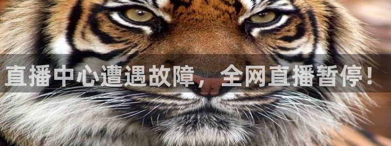 劲爆体育台直播：直播中心遭遇故障，全网直播暂停！